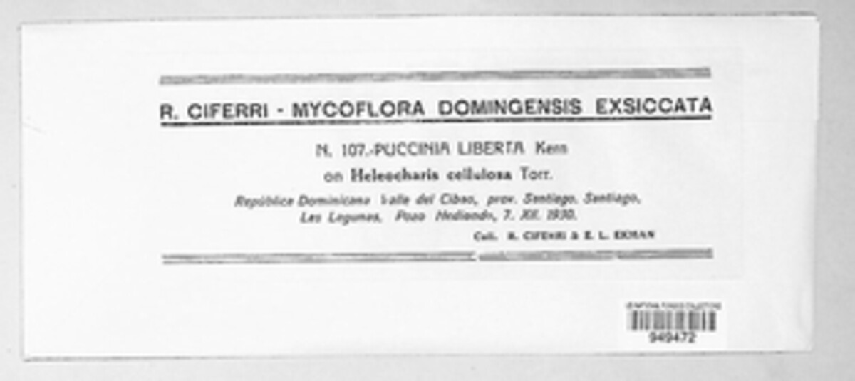Puccinia liberta image